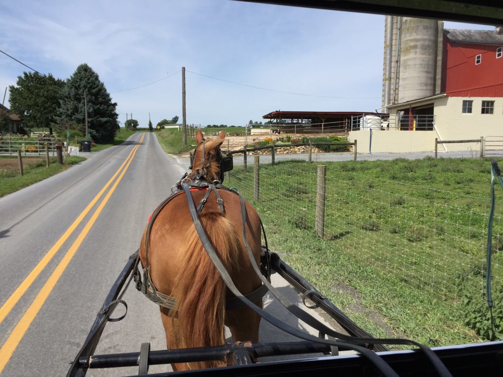 abe's buggy ride